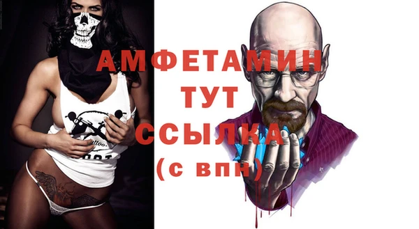 гидра Богородск