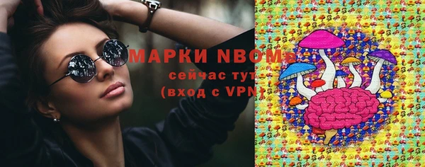 гидра Богородск