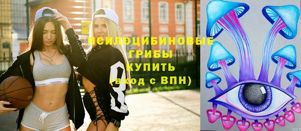 гидра Богородск
