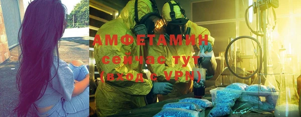 гидра Богородск