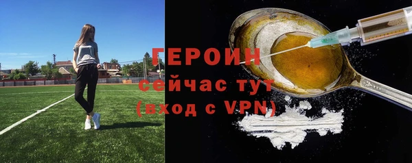 гидра Богородск