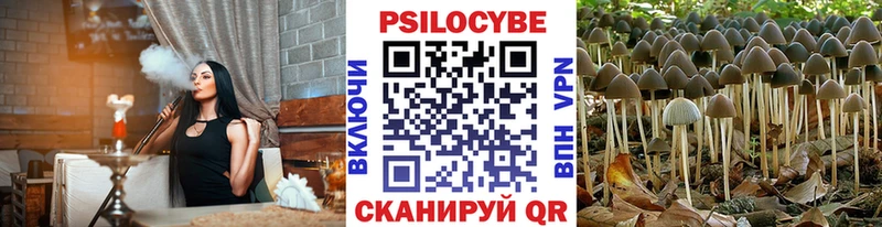 Галлюциногенные грибы Magic Shrooms  Купить где  Вязники 
